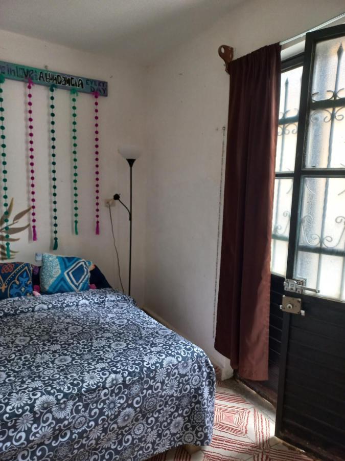 Casa Apapacho Hostel San Cristóbal de Las Casas Extérieur photo